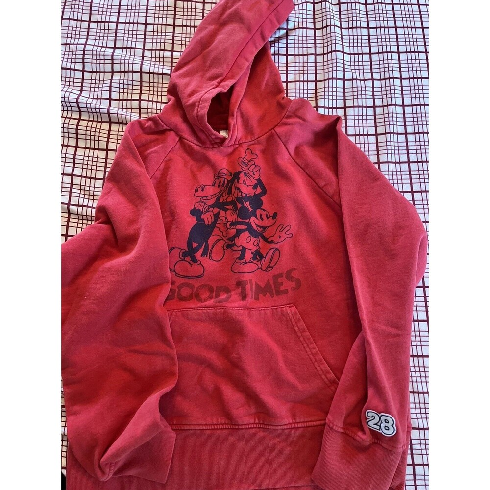 Horace Disney Parks Good Times Hoodie Small Hooded Sweatshirt Horace Horse EUC